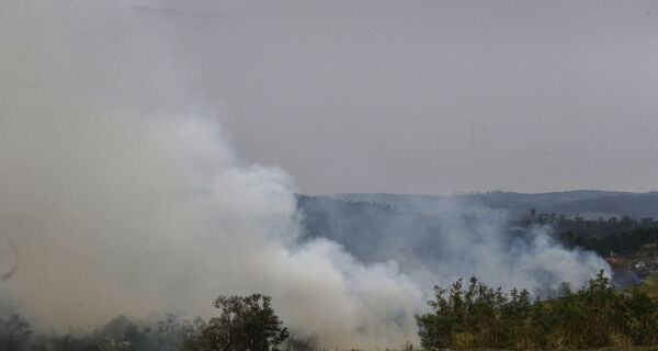 Sobe para 2.300 número de animais da pecuária mortos em incêndios no interior de SP