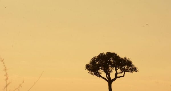Boletim de Monitoramento do Clima divulgado pelo Cemtec aponta aumento da seca em MS