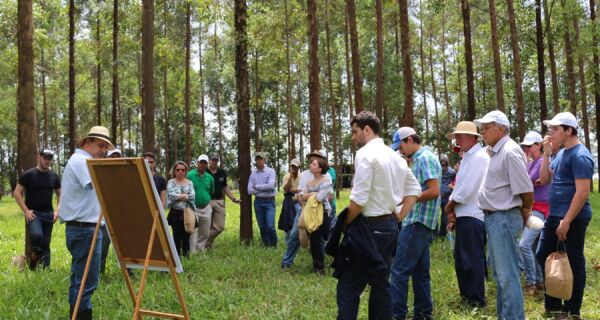 Embrapa oferece oportunidades de capacitação nos próximos meses em Campo Grande