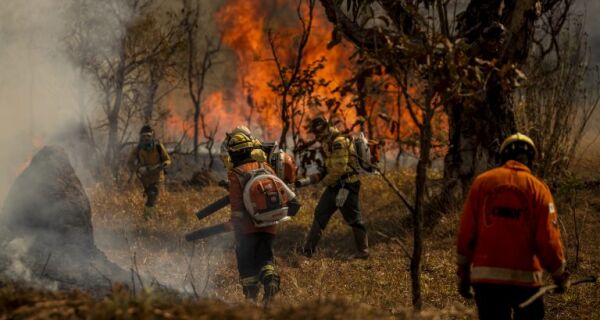 Medida provisória facilita repasses financeiros a estados para combater incêndios