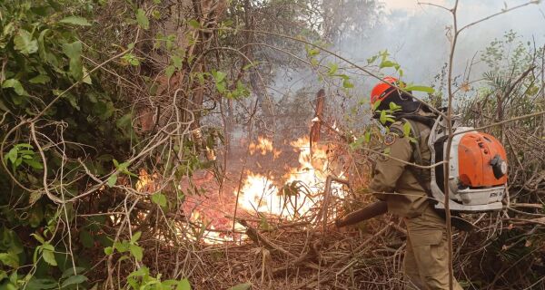 Com juros mais baixos, FCO Pantanal vai atender proprietários impactados pelos incêndios