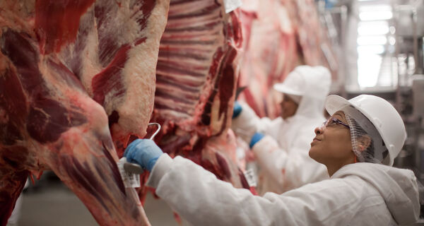 Abrafrigo: Brasil exporta 319,3 mil t de carne bovina em outubro, novo recorde mensal