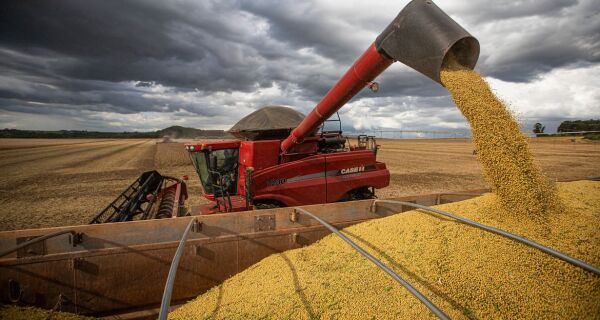 Produção de grãos pode chegar a 322,4 milhões de toneladas