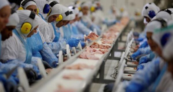 Produção agroindustrial registra alta de 2,2% em 2024, mostra FGV Agro