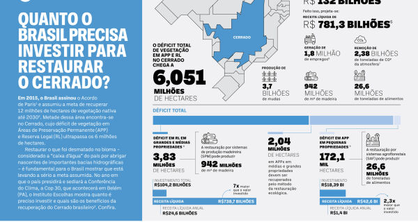 Recuperação de 6 milhões de hectares desmatados no Cerrado pode gerar R$ 781 bilhões em receita 