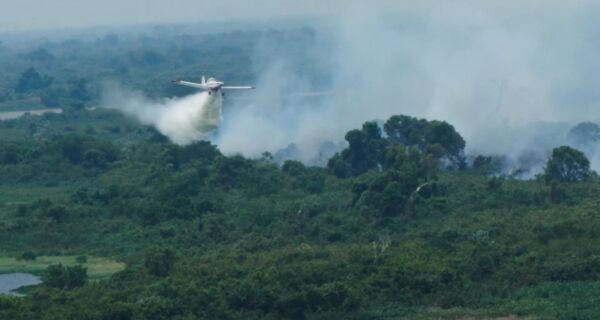 Previsões climáticas similares a 2024 levam Governo a antecipar medidas de prevenção a incêndios