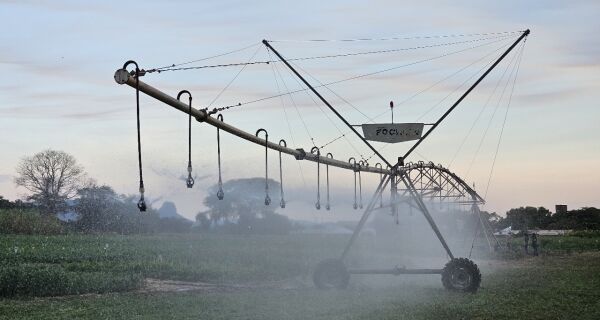 Aprovados R$ 219,7 milhões para empreendimentos em MS, com destaque para irrigação e citricultura