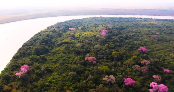 Aprovada proposta que torna o Pantanal-Sul-Matogrossense patrimônio nacional