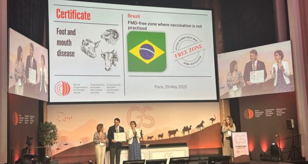 MS recebe certificado internacional de área livre de aftosa