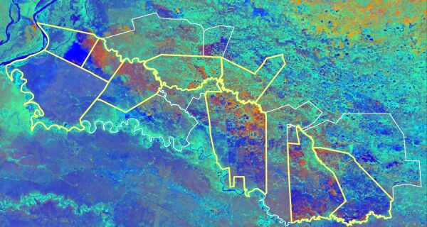 Nova regra ambiental e monitoramento via satélite ajudam a reduzir supressão vegetal no Pantanal