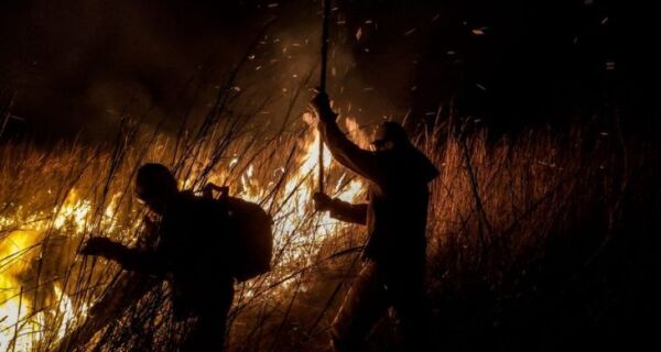 MS lança edital do PSA Brigadas para fortalecer prevenção e combate a incêndios no Pantanal