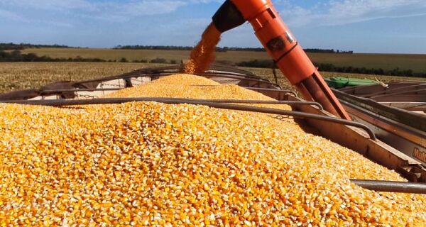 Produção de etanol de milho cresce no país e coloca MS entre os maiores produtores