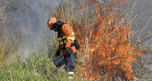 Imasul publica mapa de áreas prioritárias para execução da queima prescrita no Pantanal