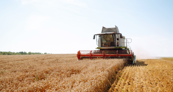 Crescimento da economia brasileira é impulsionado pelo agro no primeiro trimestre
