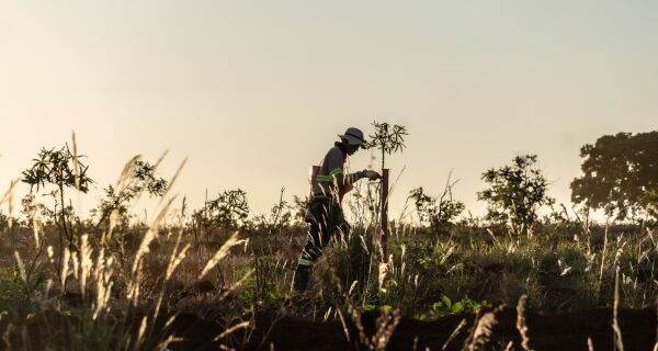 MS Florestal realiza mutirão de contratações em Nova Alvorada do Sul