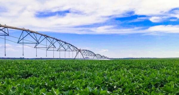 Irrigação impulsiona agricultura sustentável e coloca MS entre líderes na produção de grãos