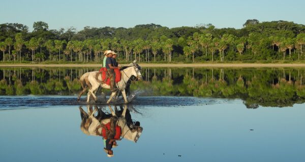 Embrapa e parceiros promovem evento pré-COP sobre os desafios climáticos nesta quinta no Pantanal