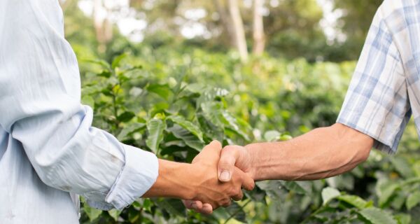 Agronegócio brasileiro emprega 28,5 mi de pessoas no 1&ordm; trimestre, um novo recorde 