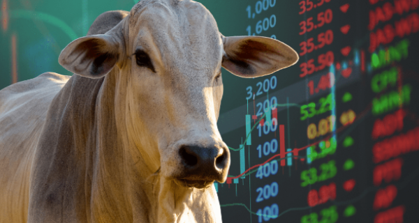 Mercado futuro sinaliza cautela em relação aos preços do 2&ordm; sem/25
