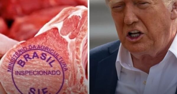 Tarifa de Trump derruba boi gordo para R$ 300/@, com reais chances de mais quedas