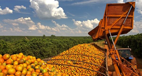 Agro brasileiro vê impacto de US$ 5,8 bilhões com tarifaço dos EUA