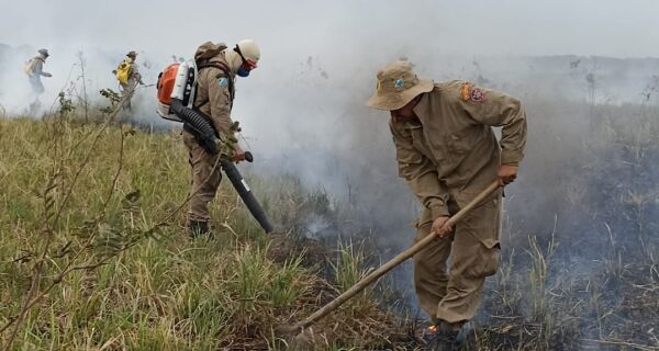 Com mais chuvas e baixas temperaturas, junho teve redução de 92,8% da área queimada no Pantanal