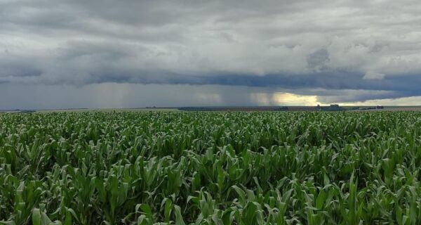 Sem El Niño e La Niña, produtores de MS enfrentam desafio no planejamento das atividades agrícolas