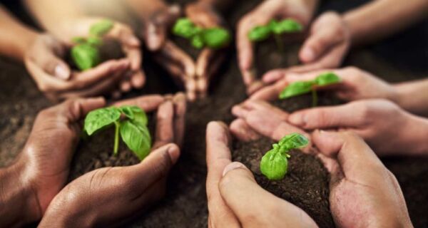 Cooperativismo agro cresce 276% em MS e impulsiona desenvolvimento rural