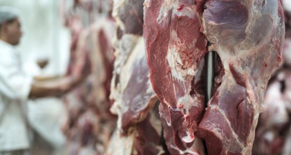 Comitiva destaca importância de ação governamental para abertura de mercado no continente asiático