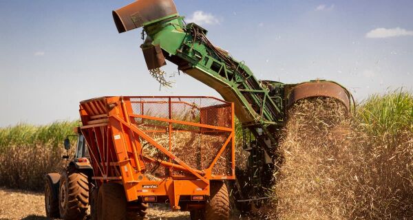 Produção de cana-de-açúcar na safra 2025/26 é atualizada para 668,8 milhões de toneladas