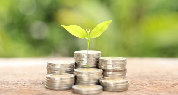 CPR permanece em destaque no início da nova safra agrícola 2025/26