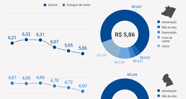 Custos de produção de suínos e de frangos de corte caem pelo terceiro mês consecutivo