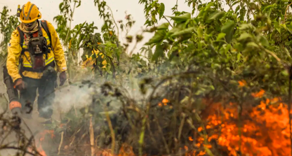 Brasil registra queda de 56,8% nos focos de calor e 61% nas áreas queimadas em julho