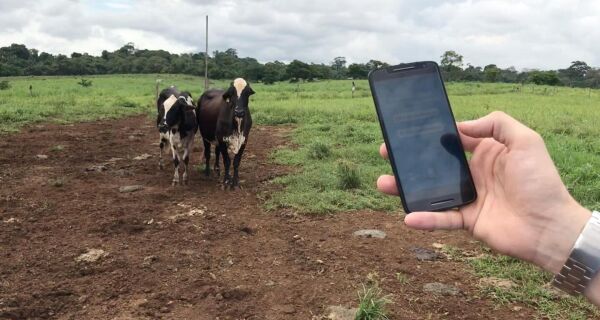 Oferta em alta supera capacidade da demanda e pressiona cotações do leite
