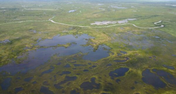 Governo prorroga inscrições do PSA Conservação até 15 de setembro