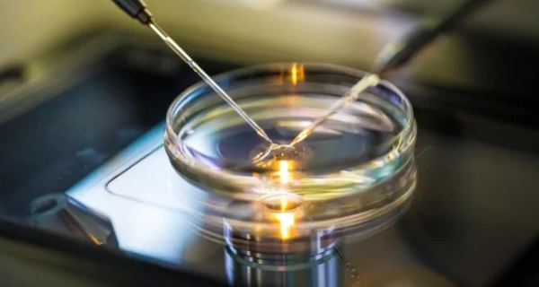 União Econômica Euroasiática abre mercado para soro fetal bovino do Brasil 