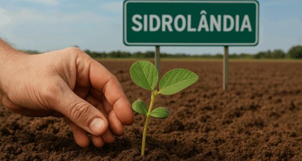Sidrolândia (MS) sediará abertura nacional do plantio da soja