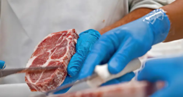 Participação dos principais exportadores mundiais de carne bovina em 2025