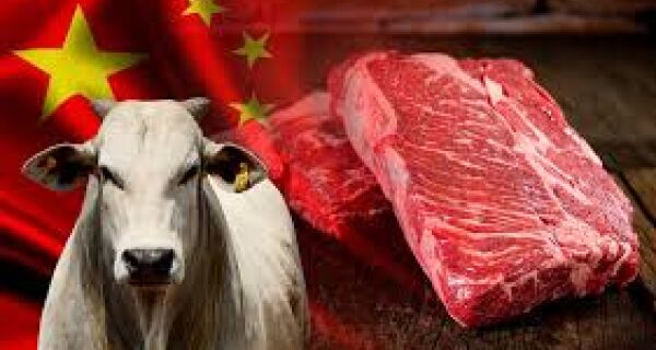 Brasil segue no topo das importações chinesas de carne bovina, com 47,4% de participação
