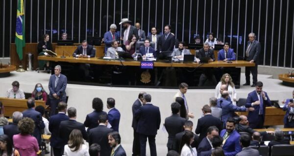 Câmara aprova regras para conservação e uso sustentável do Pantanal