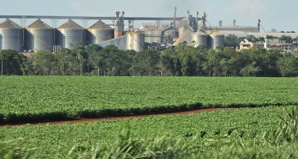 Aumento na produção de grãos eleva déficit de armazenagem em MS