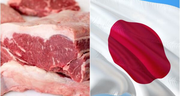Japão está "muito perto" de abrir seu mercado à carne bovina do Brasil, diz Fávaro