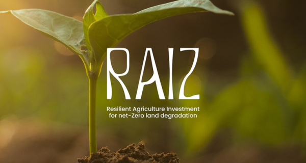 Brasil lança iniciativa global para recuperação de áreas degradadas durante a COP 30