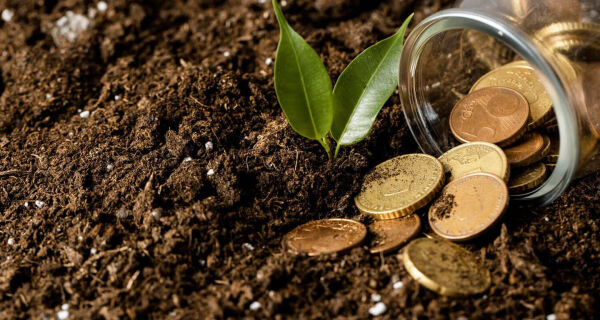 Juros e endividamento altos afetam o crédito rural, e desembolsos caem 12%