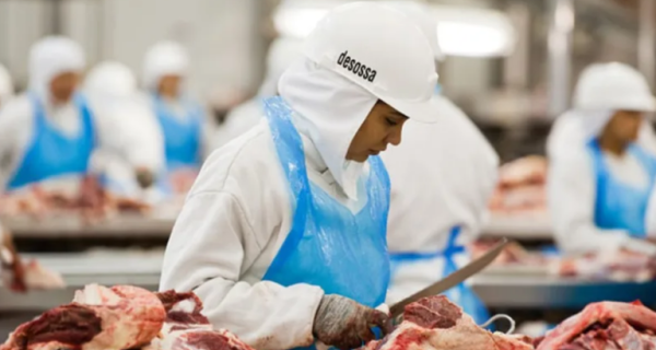 Exportação de carne bovina cresce quase 50% em Paranaguá