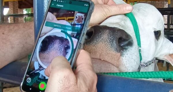 Acrissul recebe criador da tecnologia que identifica bovinos pelo focinho