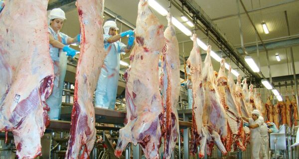 Carne aumenta de 11,2% para 15,9% a participação nas exportações