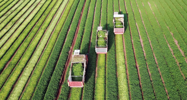 Estoque de LCA chega a R$ 608 bilhões em setembro