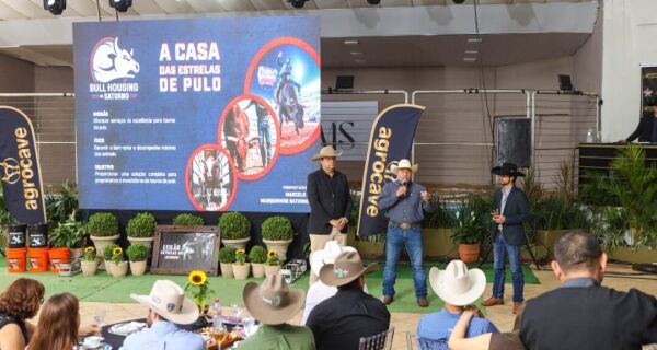 Maior leilão da história do rodeio brasileiro: PBR venderá 50% de um touro a investidores