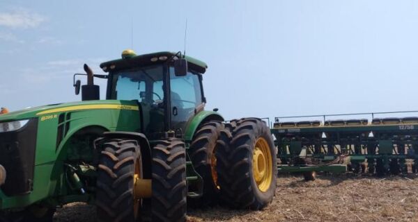 Plantio de soja 2025/2026 alcança 3,9% da área acompanhada em MS